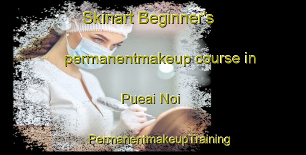 Skinart Beginner's permanentmakeup course in Pueai Noi | #PermanentmakeupTraining #PermanentmakeupClasses #SkinartTraining-Thailand