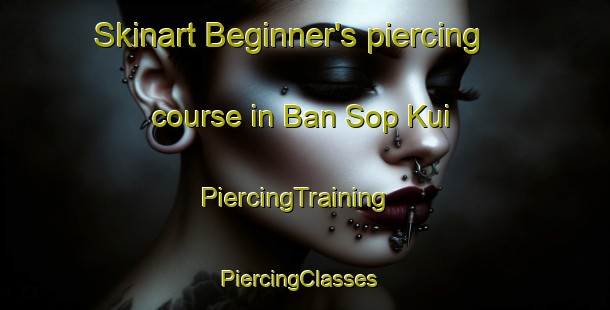 Skinart Beginner's piercing course in Ban Sop Kui | PiercingTraining | PiercingClasses | SkinartTraining-Thailand