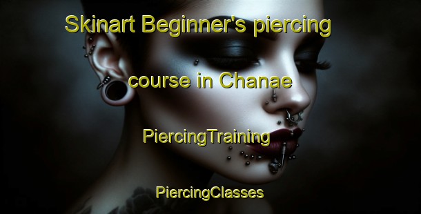 Skinart Beginner's piercing course in Chanae | #PiercingTraining #PiercingClasses #SkinartTraining-Thailand