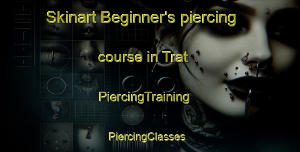 Skinart Beginner's piercing course in Trat | PiercingTraining | PiercingClasses | SkinartTraining-Thailand