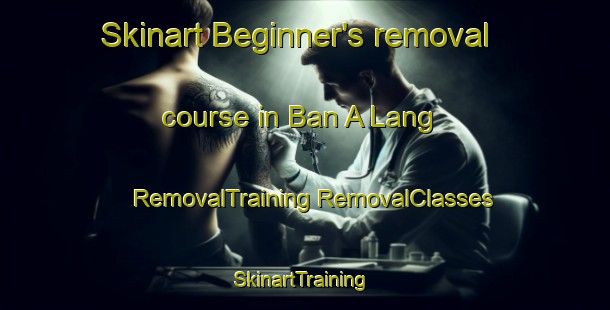 Skinart Beginner's removal course in Ban A Lang | #RemovalTraining #RemovalClasses #SkinartTraining-Thailand