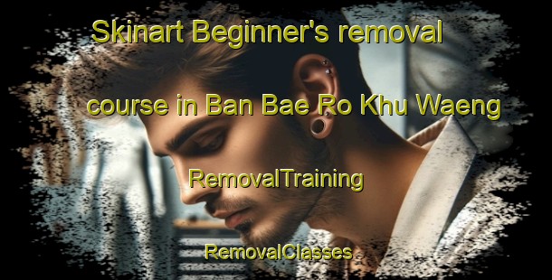 Skinart Beginner's removal course in Ban Bae Ro Khu Waeng | RemovalTraining | RemovalClasses | SkinartTraining-Thailand