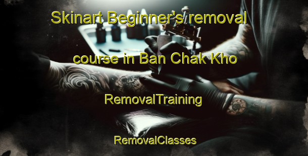 Skinart Beginner's removal course in Ban Chak Kho | RemovalTraining | RemovalClasses | SkinartTraining-Thailand