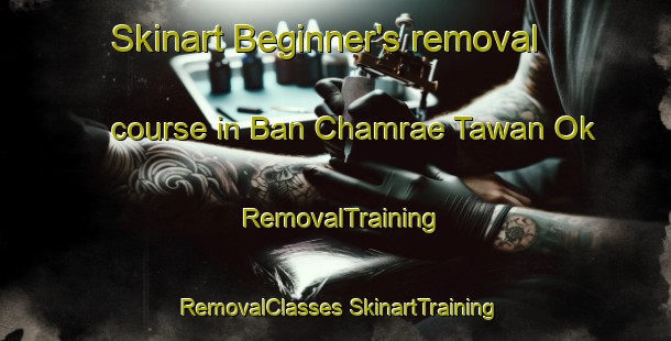 Skinart Beginner's removal course in Ban Chamrae Tawan Ok | #RemovalTraining #RemovalClasses #SkinartTraining-Thailand