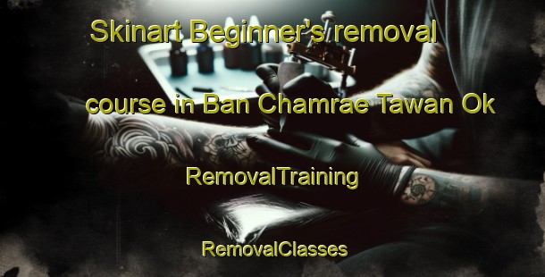 Skinart Beginner's removal course in Ban Chamrae Tawan Ok | RemovalTraining | RemovalClasses | SkinartTraining-Thailand