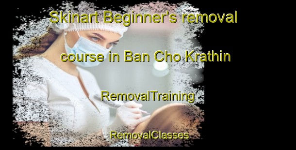 Skinart Beginner's removal course in Ban Cho Krathin | RemovalTraining | RemovalClasses | SkinartTraining-Thailand