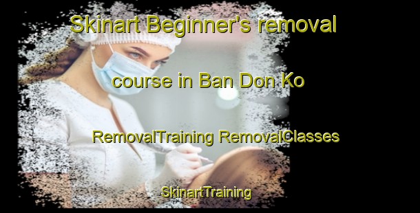 Skinart Beginner's removal course in Ban Don Ko | #RemovalTraining #RemovalClasses #SkinartTraining-Thailand