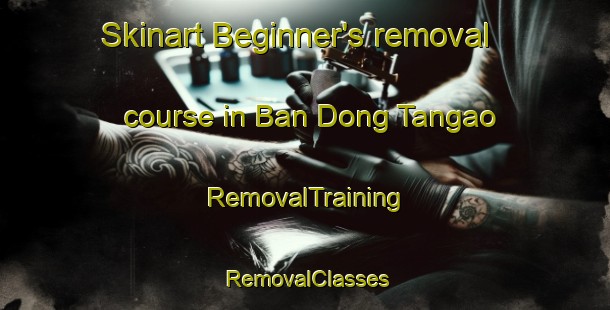 Skinart Beginner's removal course in Ban Dong Tangao | RemovalTraining | RemovalClasses | SkinartTraining-Thailand