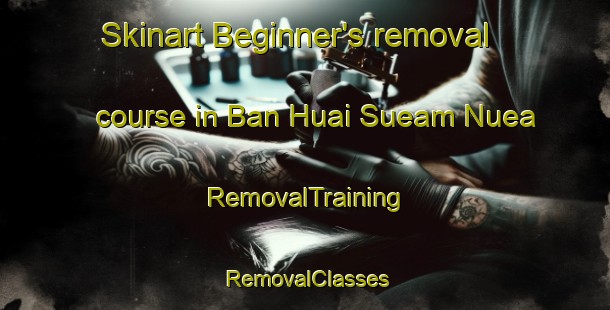 Skinart Beginner's removal course in Ban Huai Sueam Nuea | RemovalTraining | RemovalClasses | SkinartTraining-Thailand