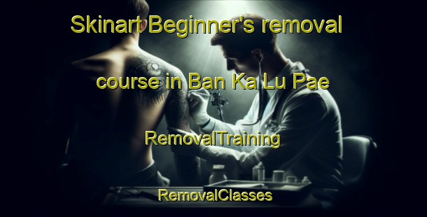 Skinart Beginner's removal course in Ban Ka Lu Pae | RemovalTraining | RemovalClasses | SkinartTraining-Thailand