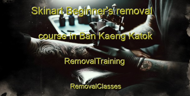 Skinart Beginner's removal course in Ban Kaeng Katok | RemovalTraining | RemovalClasses | SkinartTraining-Thailand