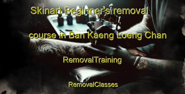 Skinart Beginner's removal course in Ban Kaeng Loeng Chan | RemovalTraining | RemovalClasses | SkinartTraining-Thailand