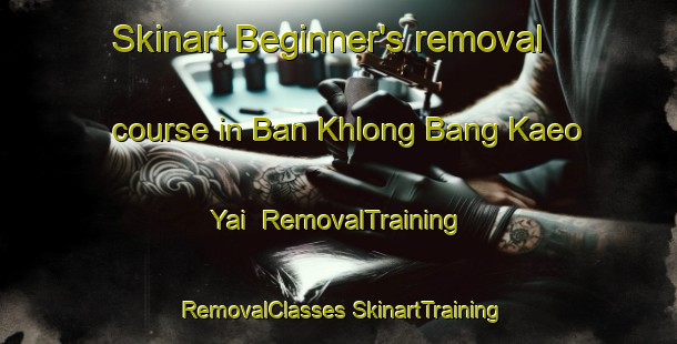 Skinart Beginner's removal course in Ban Khlong Bang Kaeo Yai | #RemovalTraining #RemovalClasses #SkinartTraining-Thailand