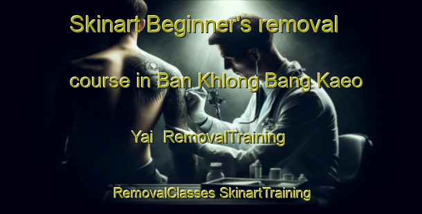 Skinart Beginner's removal course in Ban Khlong Bang Kaeo Yai | #RemovalTraining #RemovalClasses #SkinartTraining-Thailand