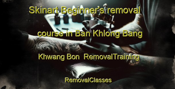 Skinart Beginner's removal course in Ban Khlong Bang Khwang Bon | RemovalTraining | RemovalClasses | SkinartTraining-Thailand
