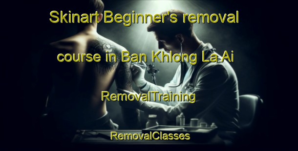Skinart Beginner's removal course in Ban Khlong La Ai | RemovalTraining | RemovalClasses | SkinartTraining-Thailand