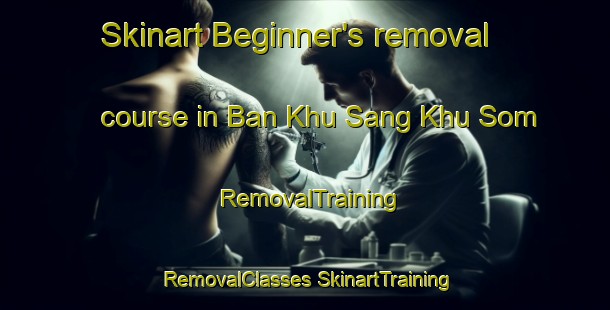 Skinart Beginner's removal course in Ban Khu Sang Khu Som | #RemovalTraining #RemovalClasses #SkinartTraining-Thailand