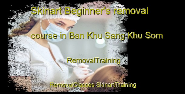 Skinart Beginner's removal course in Ban Khu Sang Khu Som | #RemovalTraining #RemovalClasses #SkinartTraining-Thailand