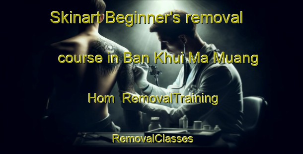 Skinart Beginner's removal course in Ban Khui Ma Muang Hom | RemovalTraining | RemovalClasses | SkinartTraining-Thailand