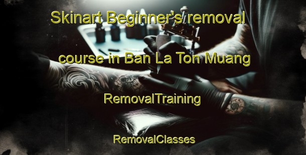 Skinart Beginner's removal course in Ban La Ton Muang | RemovalTraining | RemovalClasses | SkinartTraining-Thailand