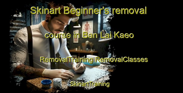 Skinart Beginner's removal course in Ban Lai Kaeo | #RemovalTraining #RemovalClasses #SkinartTraining-Thailand