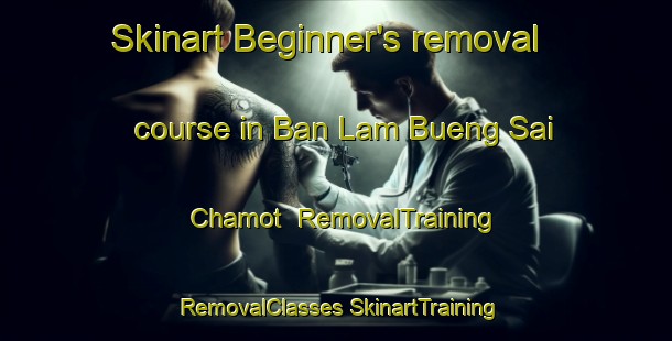 Skinart Beginner's removal course in Ban Lam Bueng Sai Chamot | #RemovalTraining #RemovalClasses #SkinartTraining-Thailand