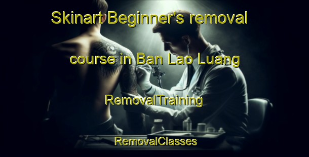 Skinart Beginner's removal course in Ban Lao Luang | RemovalTraining | RemovalClasses | SkinartTraining-Thailand