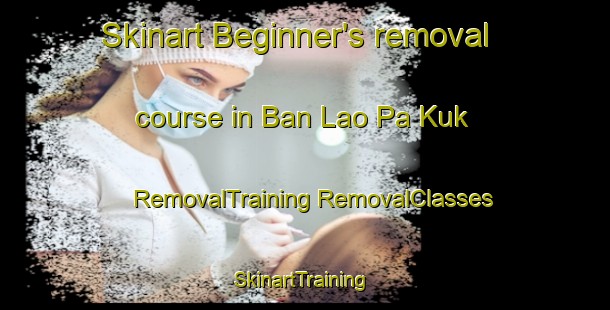 Skinart Beginner's removal course in Ban Lao Pa Kuk | #RemovalTraining #RemovalClasses #SkinartTraining-Thailand