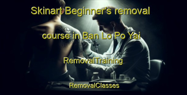 Skinart Beginner's removal course in Ban Lo Po Yai | RemovalTraining | RemovalClasses | SkinartTraining-Thailand