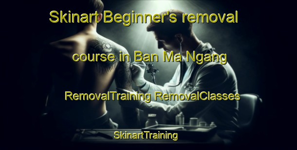 Skinart Beginner's removal course in Ban Ma Ngang | #RemovalTraining #RemovalClasses #SkinartTraining-Thailand