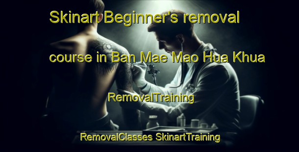 Skinart Beginner's removal course in Ban Mae Mao Hua Khua | #RemovalTraining #RemovalClasses #SkinartTraining-Thailand