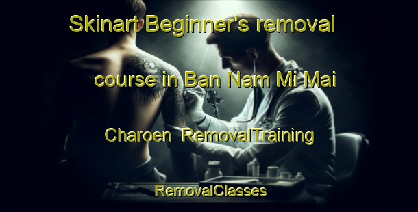 Skinart Beginner's removal course in Ban Nam Mi Mai Charoen | RemovalTraining | RemovalClasses | SkinartTraining-Thailand