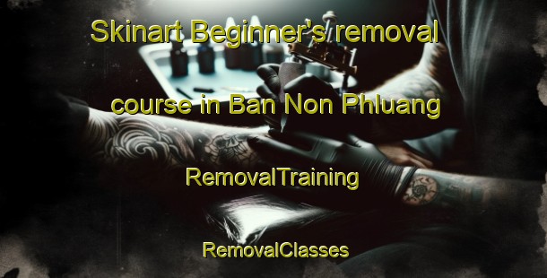 Skinart Beginner's removal course in Ban Non Phluang | RemovalTraining | RemovalClasses | SkinartTraining-Thailand