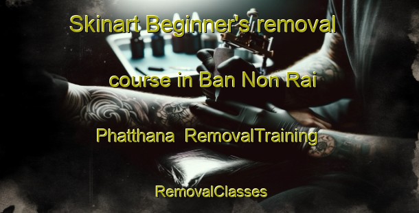 Skinart Beginner's removal course in Ban Non Rai Phatthana | RemovalTraining | RemovalClasses | SkinartTraining-Thailand