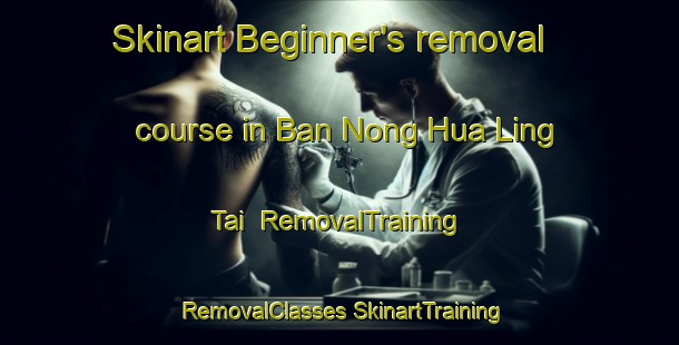 Skinart Beginner's removal course in Ban Nong Hua Ling Tai | #RemovalTraining #RemovalClasses #SkinartTraining-Thailand