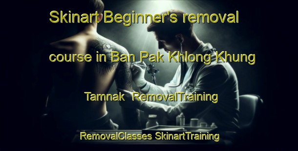 Skinart Beginner's removal course in Ban Pak Khlong Khung Tamnak | #RemovalTraining #RemovalClasses #SkinartTraining-Thailand