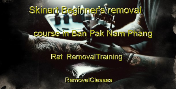 Skinart Beginner's removal course in Ban Pak Nam Phang Rat | RemovalTraining | RemovalClasses | SkinartTraining-Thailand