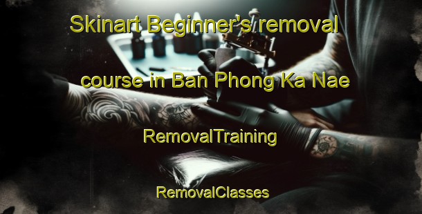 Skinart Beginner's removal course in Ban Phong Ka Nae | RemovalTraining | RemovalClasses | SkinartTraining-Thailand