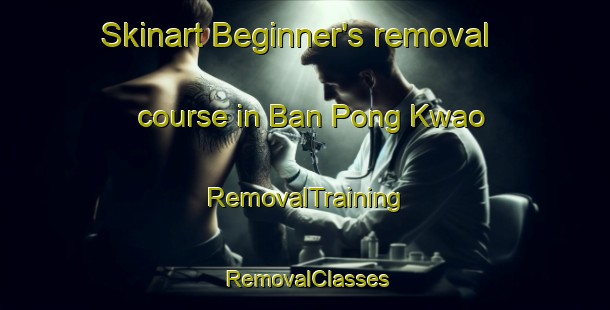 Skinart Beginner's removal course in Ban Pong Kwao | RemovalTraining | RemovalClasses | SkinartTraining-Thailand