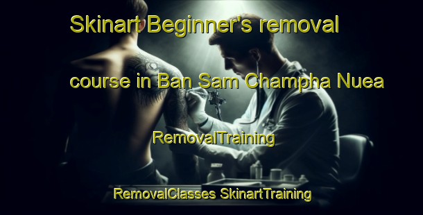 Skinart Beginner's removal course in Ban Sam Champha Nuea | #RemovalTraining #RemovalClasses #SkinartTraining-Thailand