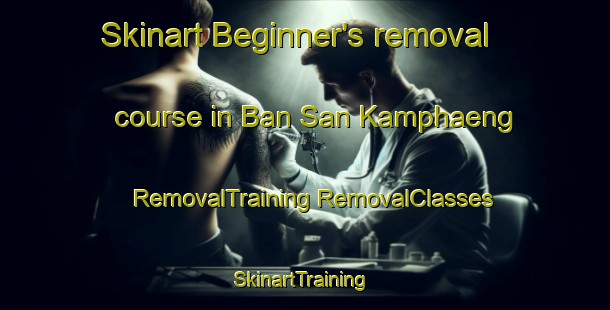 Skinart Beginner's removal course in Ban San Kamphaeng | #RemovalTraining #RemovalClasses #SkinartTraining-Thailand