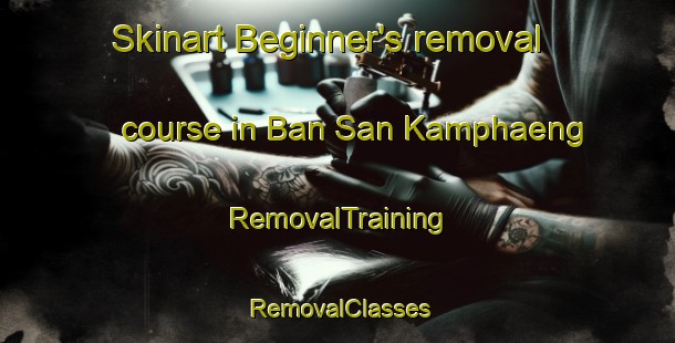 Skinart Beginner's removal course in Ban San Kamphaeng | RemovalTraining | RemovalClasses | SkinartTraining-Thailand