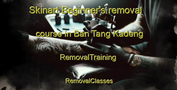 Skinart Beginner's removal course in Ban Tang Kadeng | RemovalTraining | RemovalClasses | SkinartTraining-Thailand