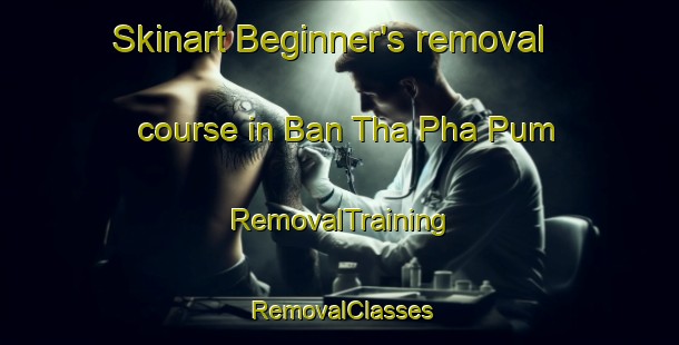 Skinart Beginner's removal course in Ban Tha Pha Pum | RemovalTraining | RemovalClasses | SkinartTraining-Thailand