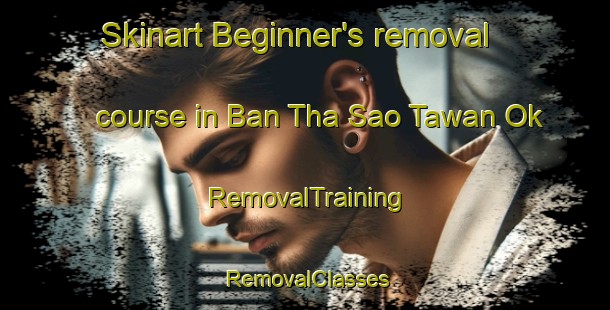 Skinart Beginner's removal course in Ban Tha Sao Tawan Ok | RemovalTraining | RemovalClasses | SkinartTraining-Thailand
