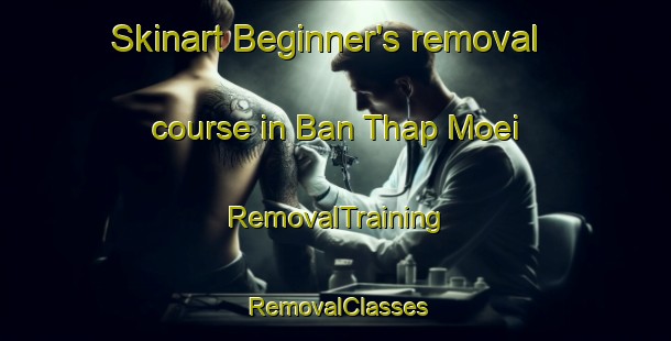 Skinart Beginner's removal course in Ban Thap Moei | RemovalTraining | RemovalClasses | SkinartTraining-Thailand