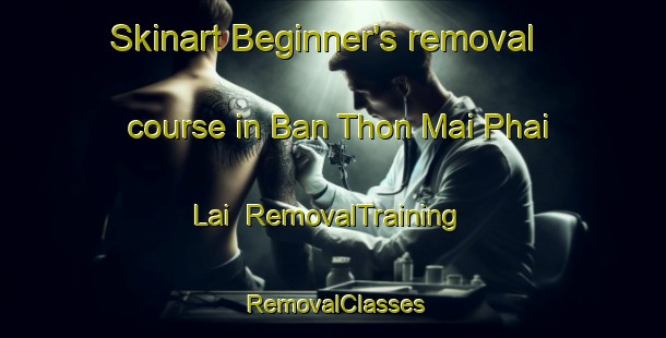 Skinart Beginner's removal course in Ban Thon Mai Phai Lai | RemovalTraining | RemovalClasses | SkinartTraining-Thailand