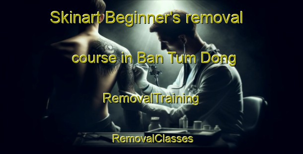 Skinart Beginner's removal course in Ban Tum Dong | RemovalTraining | RemovalClasses | SkinartTraining-Thailand