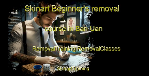 Skinart Beginner's removal course in Ban Uan | #RemovalTraining #RemovalClasses #SkinartTraining-Thailand