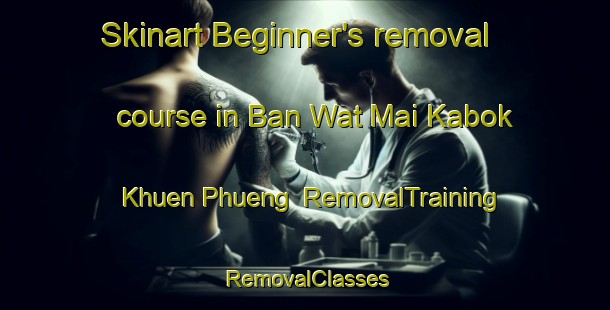 Skinart Beginner's removal course in Ban Wat Mai Kabok Khuen Phueng | RemovalTraining | RemovalClasses | SkinartTraining-Thailand